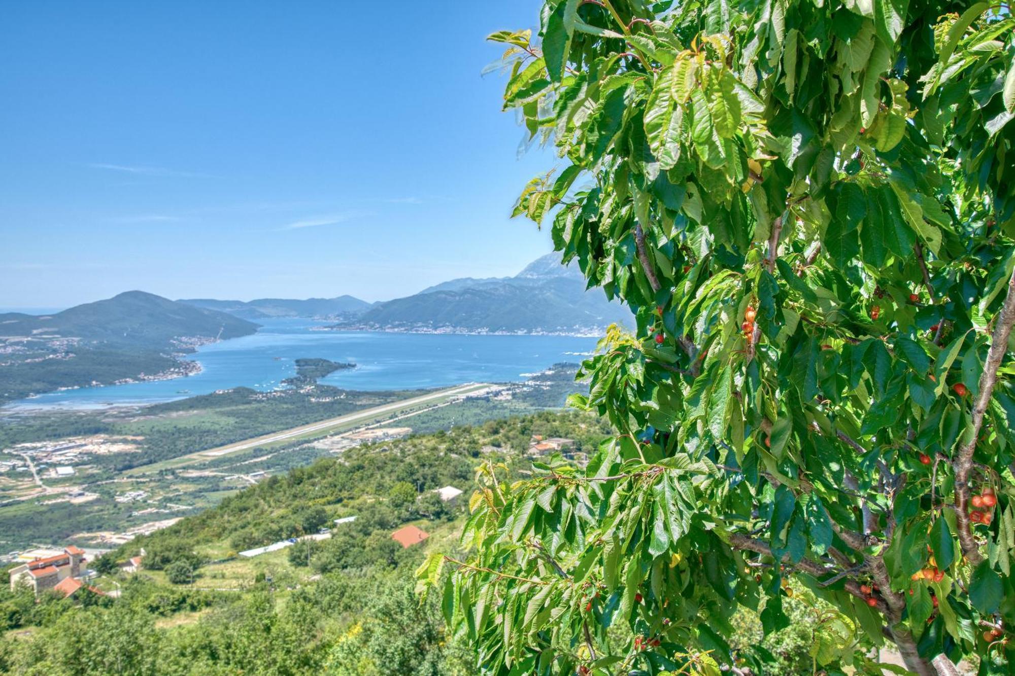 Apartment Paradise Котор Екстер'єр фото